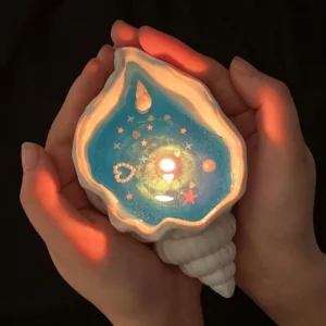 Bougie parfumée en forme de coquillage en cire de gelée